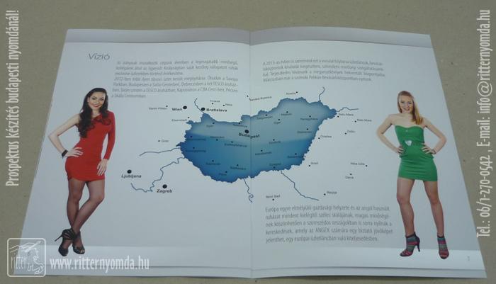 Digital Printing Brochure - a4, English, used, dress, clothes 1