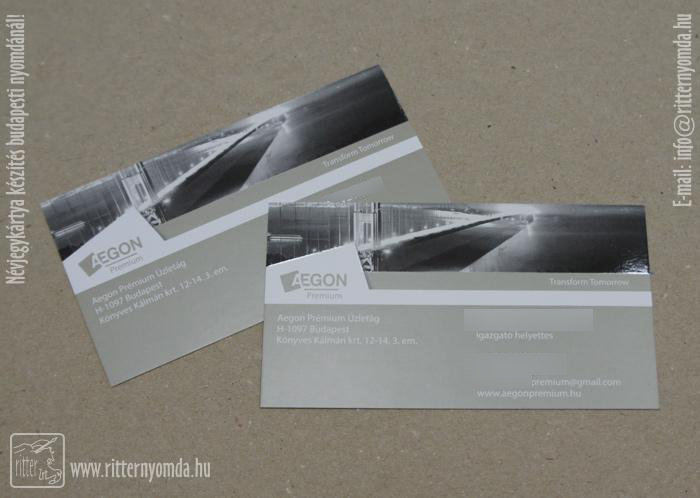 Offset Printing Business Cards - insurer, business, director, gold 0