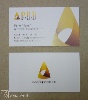 Digital print business cards - Business, manager, management