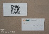 Digital printing business cards - qr code, industry, implementer