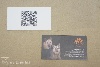Digital printing business cards - dog trainer, dog training, dog psychologist
