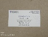 Digital printing business cards - Jewish, rabbi, thermozva
