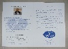 Prospektus, szolgáltatás, takarítás, logózott, szlogen