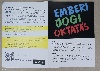 Szórólap, oktatás, tanulás, fejlődés, emberjog, a/5